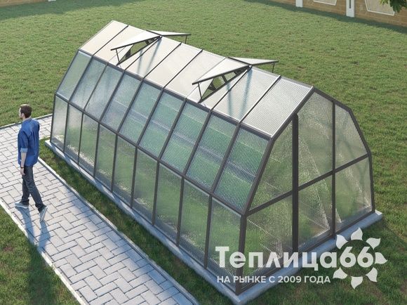 Теплица Рада Рица из поликарбоната, 3x6 метров, графитовая