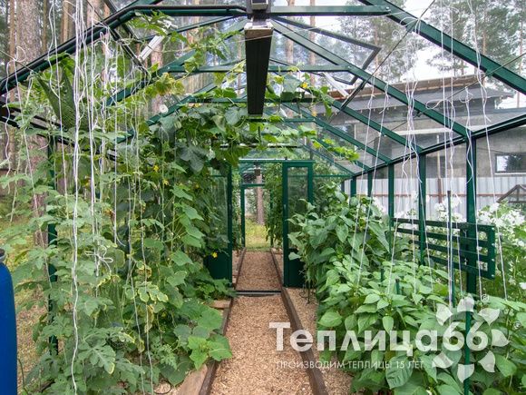 Теплица botanik standard под стекло, ширина 2,8 м